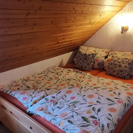 Haus-daxberg-idyllisch-gelegen-im-bayerischen-wald Appartement Eppenschlag
